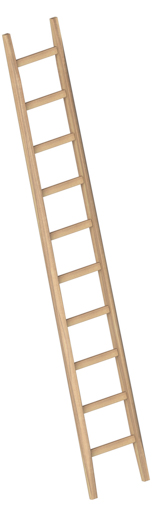 Layher Holzanlegeleiter Bau 10 Sprossen, L=3,0m #1036010